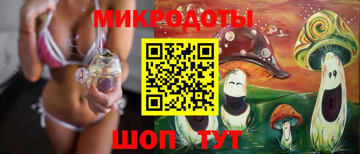 Псилоцибиновые грибы Cubensis Кыштым