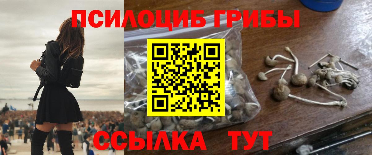 Псилоцибиновые грибы Magic Shrooms  Галлюциногенные грибы Cubensis  Вход с VPN  Кыштым 